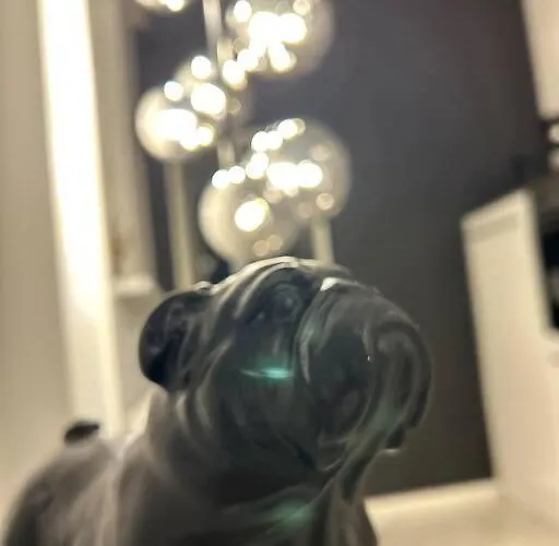 아파트 Superior - Rooftop - 20min To Hamburg